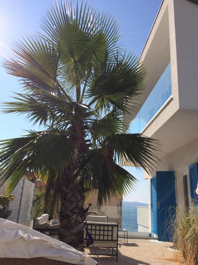 Seaside Villa With Private Pool Home By The Sea - Villa Trogir Ngoại thất bức ảnh